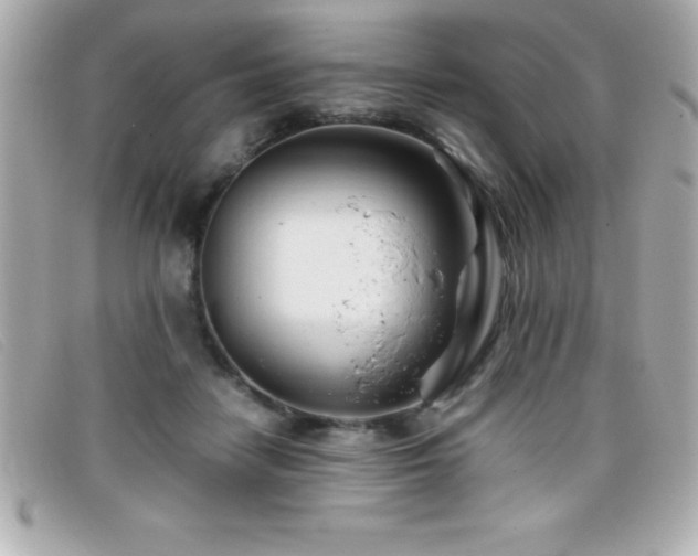 X0000099470458200805091551