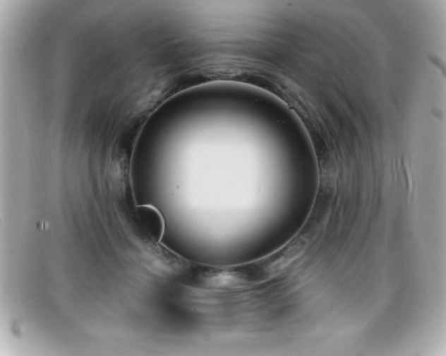 X0000099470460200805091551