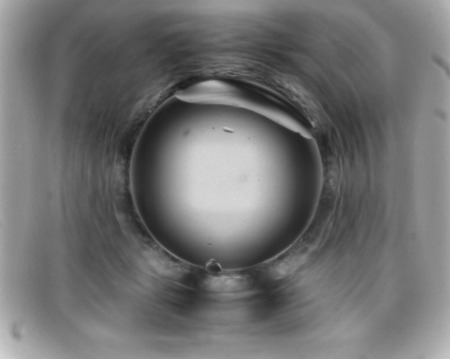 X0000099470461200805091551