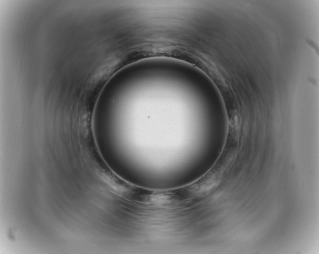X0000099470462200805091551
