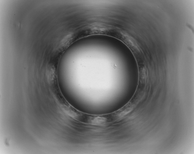 X0000099470463200805091551