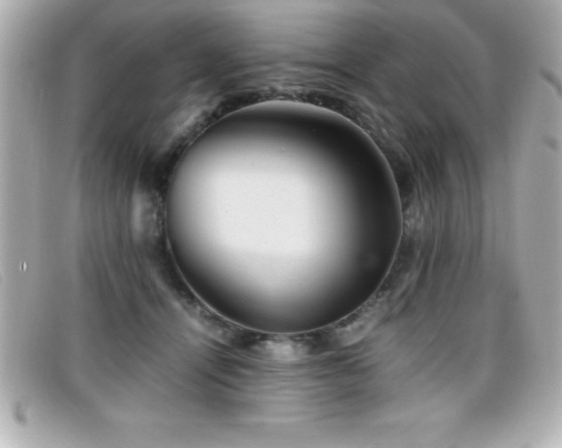 X0000099470464200805091551