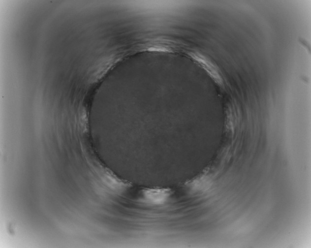 X0000099470465200805091551