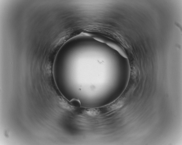 X0000099470466200805091551
