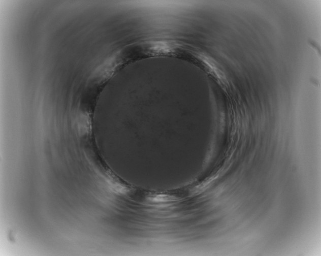 X0000099470467200805091551