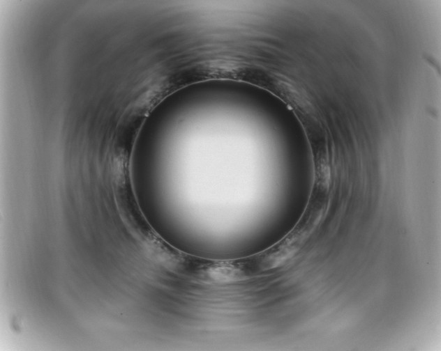 X0000099470468200805091551