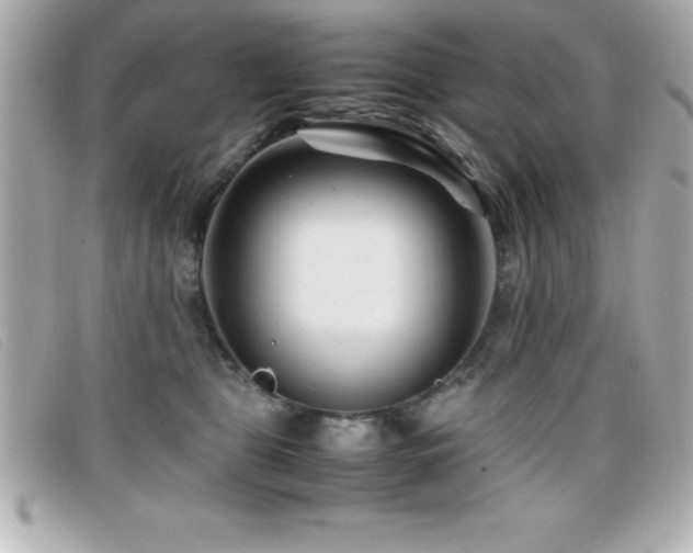 X0000099470469200805091551