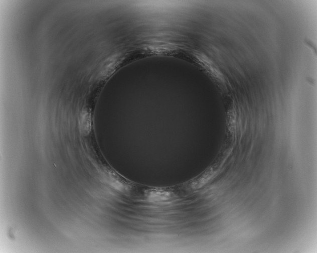 X0000099470471200805091551