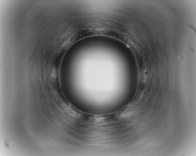 X0000099470472200805091551