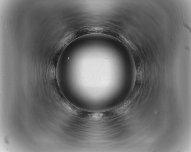 X0000099470474200805091551