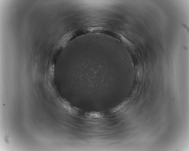 X0000099470475200805091551