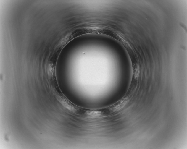 X0000099470476200805091551