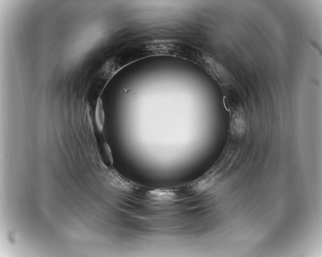 X0000099470477200805091551