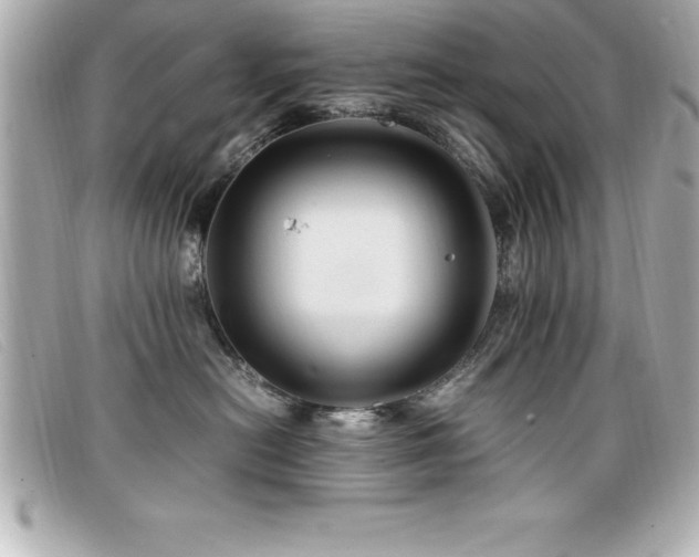 X0000099470478200805091551