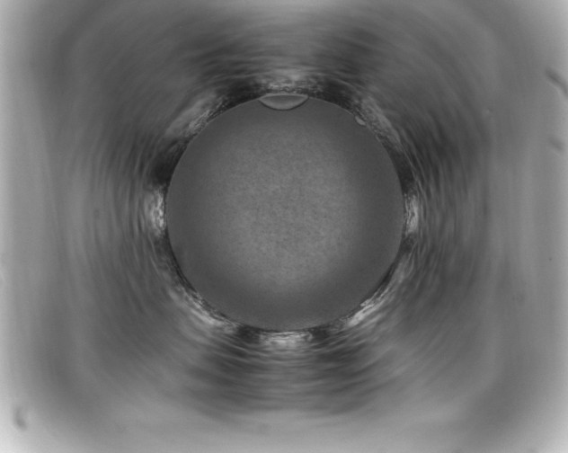 X0000099470479200805091551