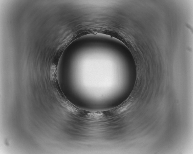 X0000099470480200805091551