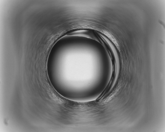 X0000099470481200805091550