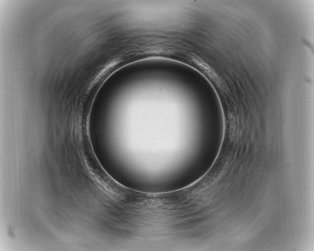 X0000099470482200805091550