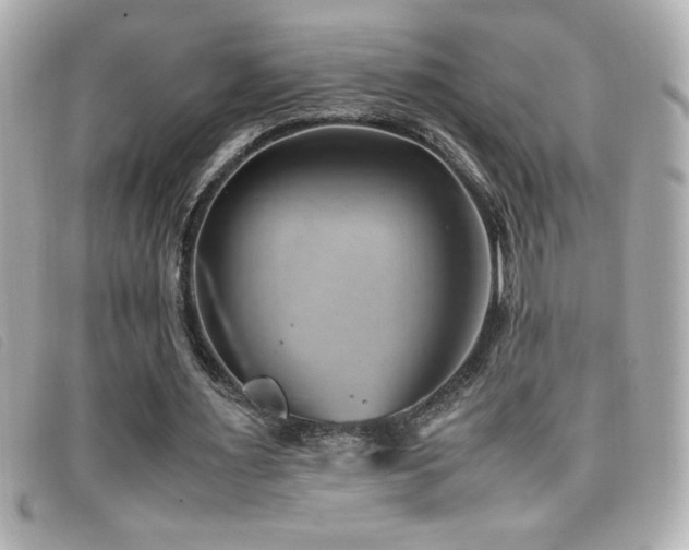 X0000099470483200805091550