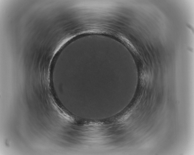 X0000099470484200805091550