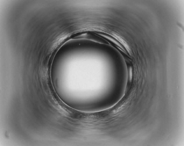 X0000099470485200805091550