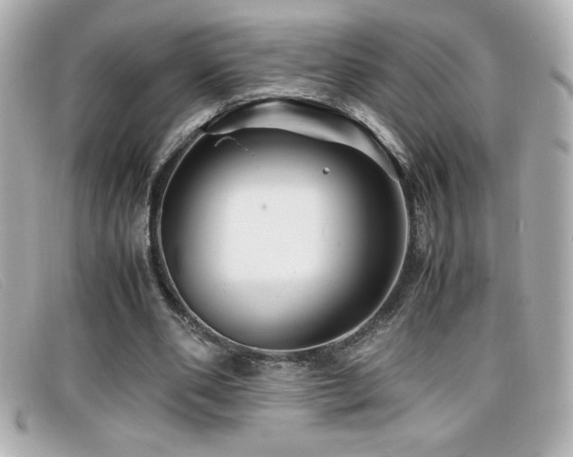 X0000099470486200805091550