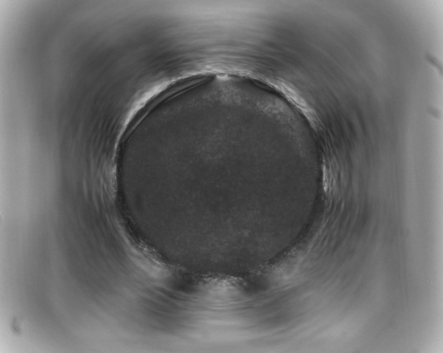 X0000099470488200805091550