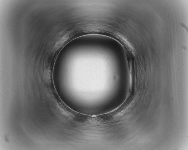 X0000099470489200805091550