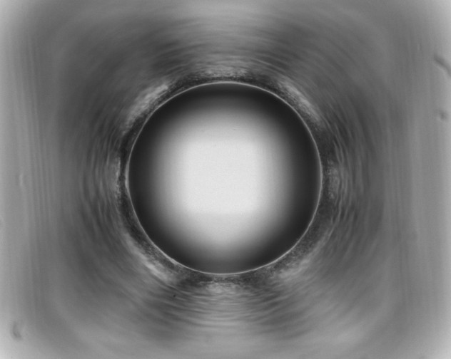 X0000099470490200805091550