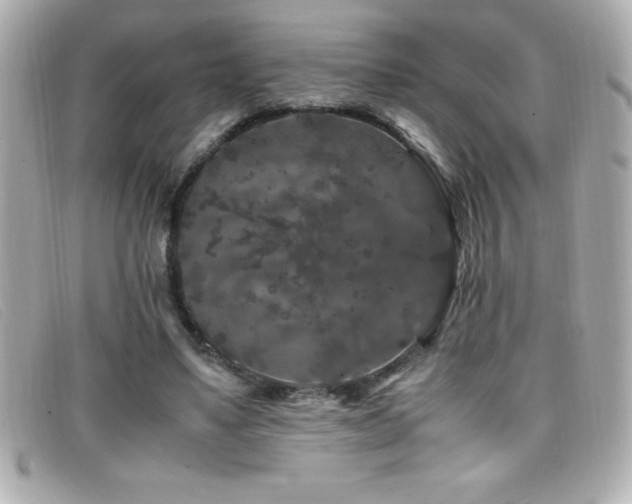 X0000099470491200805091550