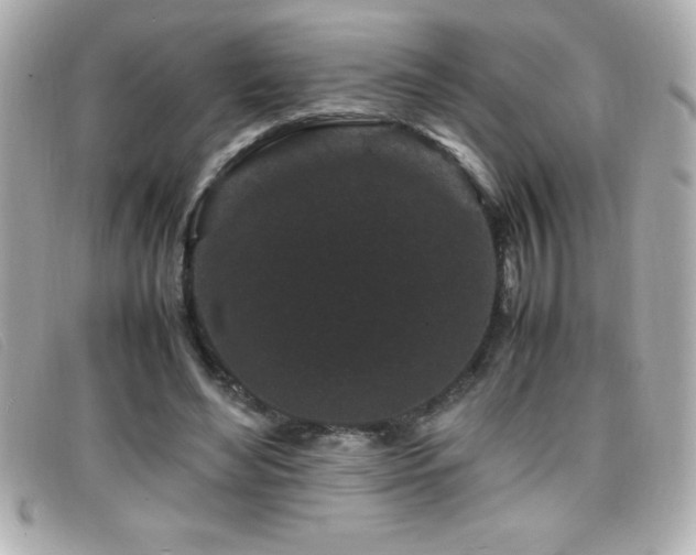 X0000099470492200805091550