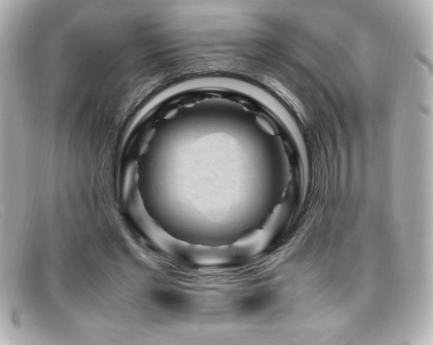 X0000099470493200805091550