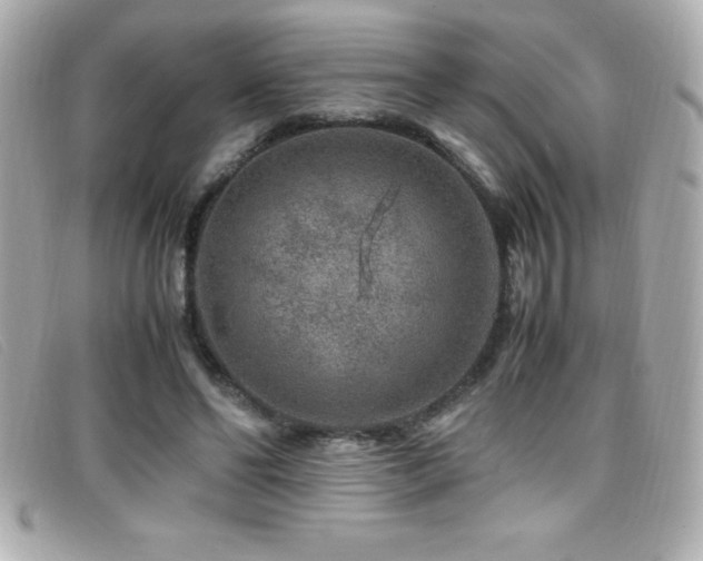 X0000099470494200805091550