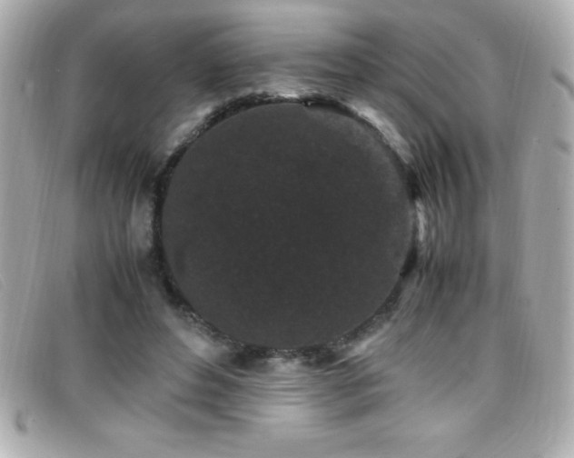 X0000099470496200805091550