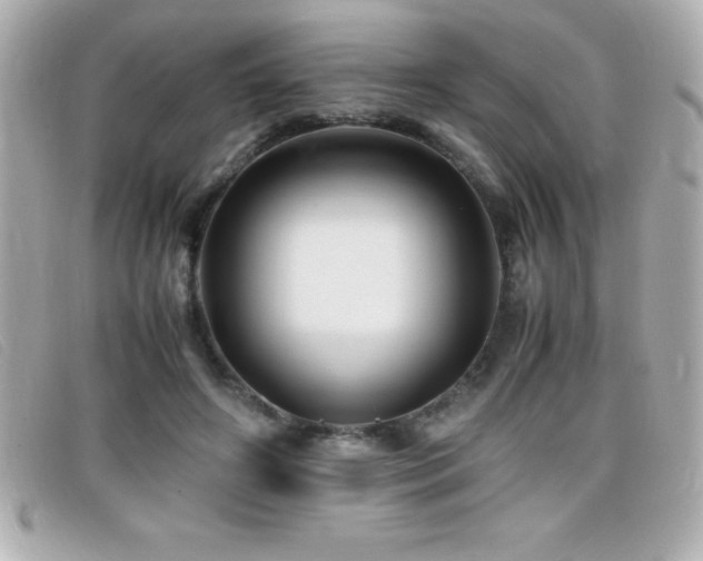 X0000099470498200805091550