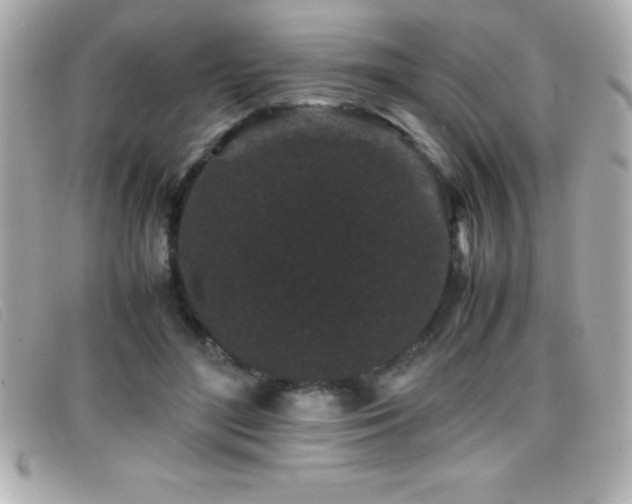 X0000099470500200805091550