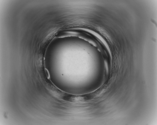 X0000099470501200805091550