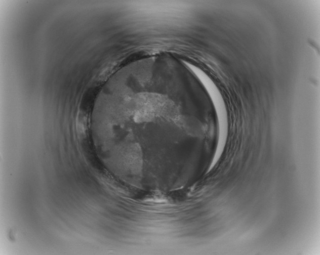 X0000099470503200805091550