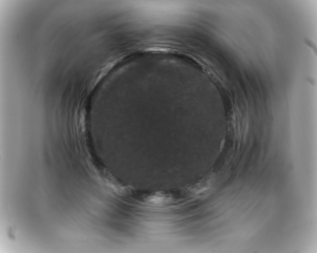 X0000099470504200805091550