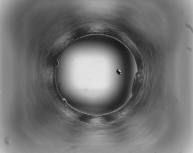 X0000099470505200805091550