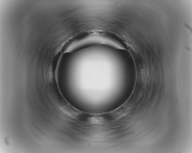 X0000099470508200805091550