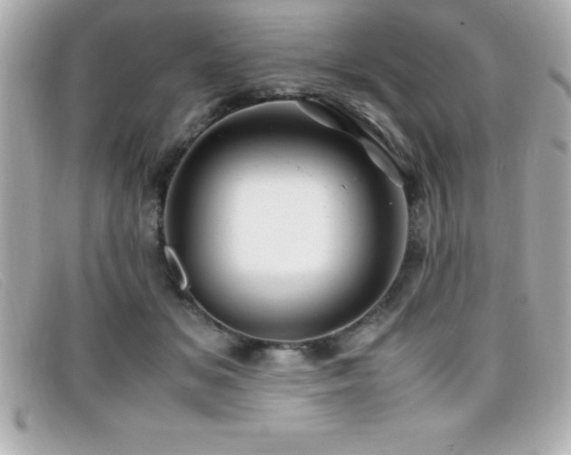 X0000099470509200805091550