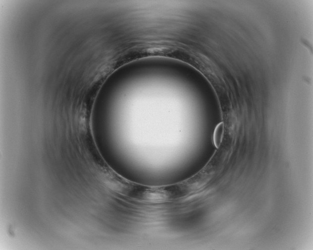 X0000099470510200805091550