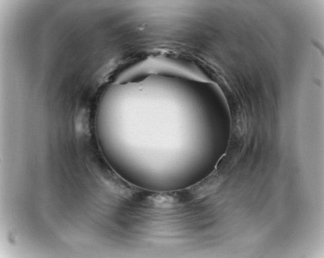 X0000099470512200805091550