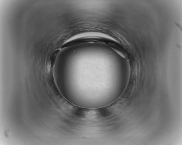 X0000099470513200805091550