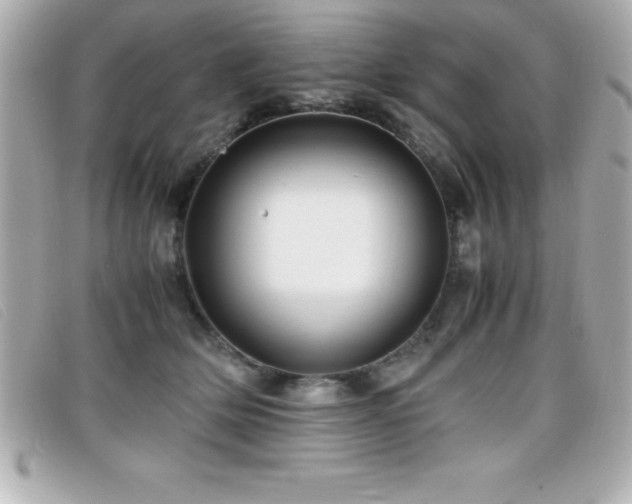 X0000099470514200805091550