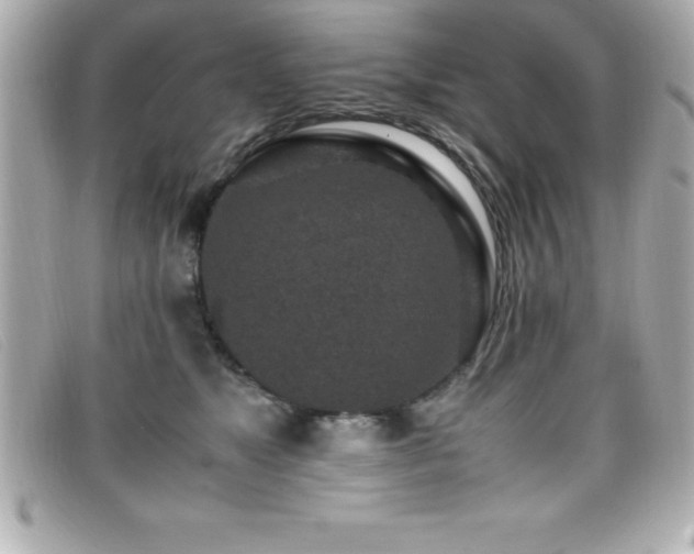 X0000099470517200805091550