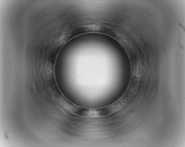 X0000099470518200805091550