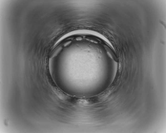 X0000099470519200805091550