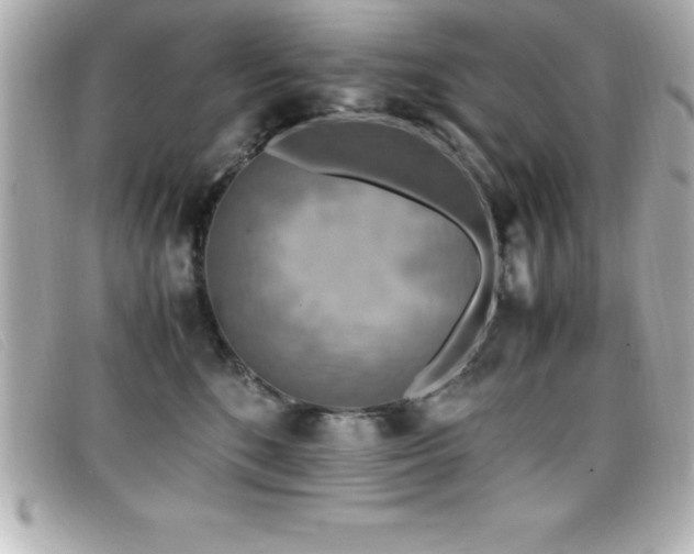 X0000099470520200805091550